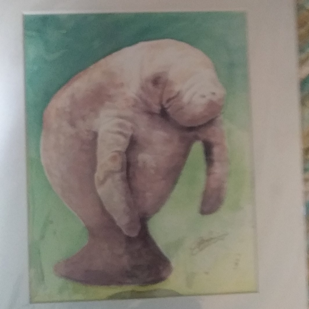 Manatee Christopher J Kuster painted by mouth